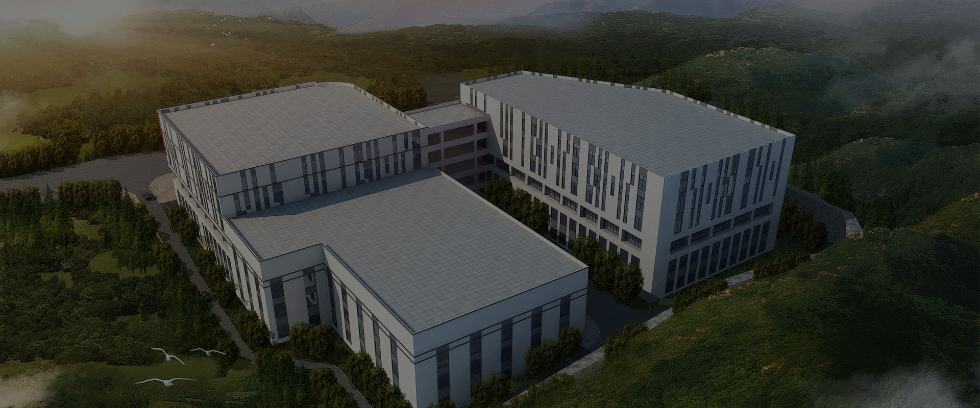 ���_(d��)���������ò��������I(l��ng)����